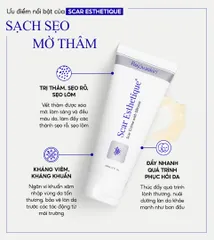 Kem Mờ Sẹo Thâm Rỗ Lõm Rejuvaskin Scar Esthetique 10ml/30ml/60ml - Xóa Sẹo, Làm Đều Màu Da, Dễ Thẩm Thấu, Phù Hợp Mọi Loại Da