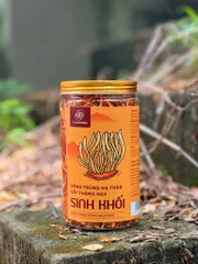 Đông Trùng Hạ Thảo Sinh Khối Khô Sợi Đẹp 50gr - Thực Phẩm Dinh Dưỡng Hỗ Trợ Sức Khỏe, Tăng Cường Miễn Dịch, Chất Lượng Cao từ VNHERBS