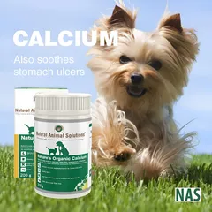 Bổ Sung Canxi Cho Chó Và Mèo Phù Hợp Mọi Lứa Tuổi (Natural Animal Solutions Natures Organic Calcium 200g)