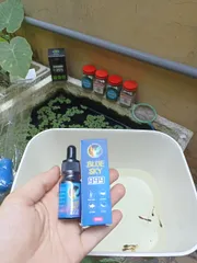 Dung dịch Blue Sky 999 10ml - Điều trị bệnh và chăm sóc cá cảnh an toàn hiệu quả cho cá Betta, Koi, cá thủy sinh nhỏ