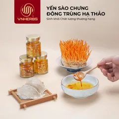 Yến Chưng Đông Trùng Hạ Thảo Sợi Nấm Hộp 6 Lọ - Sản Phẩm Dinh Dưỡng Từ Yến Sào và Đông Trùng Hạ Thảo, Tăng Cường Sức Khỏe
