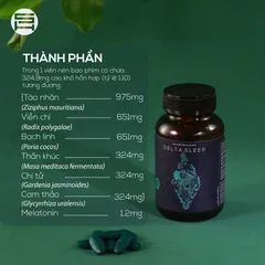 Delta Sleep - Giấc ngủ tái tạo