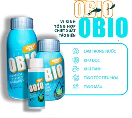 Vi Sinh KOIKA OBIO (Phiên bản tết 2026) - Giúp Làm Sạch Nước Bể Cá, Tăng Hệ Miễn Dịch và Tiêu Hóa Cho Cá Cảnh