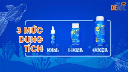 Dung dịch khử độc KOIKA DETOX (Phiên bản tết 2026) cho cá tép cảnh - Giúp bảo vệ cá nhanh chóng, giảm stress và khử chlorine hiệu quả