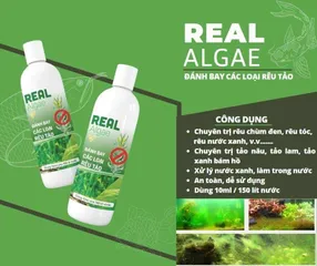 Dung Dịch Diệt Rêu Tảo Real Algae 100ml - Sản Phẩm An Toàn Cho Hồ Cá, Bể Cá, Khử Rêu Chùm Đen, Tảo Nâu, Tảo Lam