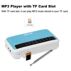 Loa Nghe Kinh Địa Tạng Rolton E500 Cao Cấp - Bluetooth/FM Cho Phật Tử Nghe Kinh Sáng Tạo, Âm Thanh Tuyệt Vời