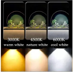 Đèn Rọi Mini KAOKUI 10W COB Spotlight KK-F01/F02/F03 - Phụ Kiện Chiếu Sáng Hồ Bán Cạn, Thiết Kế Linh Hoạt 360 Độ