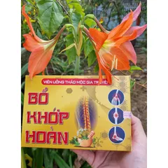 Viên uống Bổ Khớp Hoàn - Hỗ trợ xương khớp, giảm đau khớp và viêm đa khớp, viên uống chất lượng Việt Nam