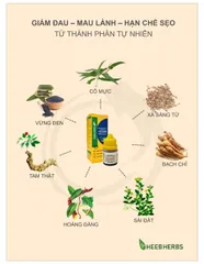 Gói 6 Dung Dịch Vết Thương Hedar - Giảm Đau, Cầm Máu, Hỗ Trợ Làm Lành Nhanh Chóng Và Ngăn Ngừa Sẹo Cho Vết Thương, Vết Bỏng