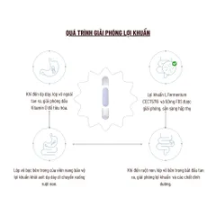 Viên Uống PERDAYS Breastfeeding Probiotic & Vitamin D - Hỗ Trợ Tiêu Hóa và Miễn Dịch Cho Mẹ Bầu và Sau Sinh