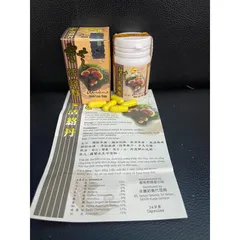 Linh Chi Hoạt Lạc Đơn Xương Khớp 34 Viên - Hỗ Trợ Giảm Đau Viêm Khớp, Bảo Vệ và Tái Tạo Màng Sụn Khớp