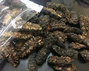 TRÁI NHÀU KHÔ TỰ NHIÊN - Hỗ Trợ Sức Khỏe, Giúp Ngâm Rượu, Ngâm Đường, Nấu Nước Uống - Sản Phẩm ĐÔNG Y TUỆ AN