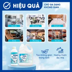 Dung dịch Nano Bạc tạo khói Nano Ceria diệt khuẩn, khử mùi ô tô, phòng kín, nhà cửa, nhà hàng