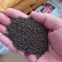 Thức Ăn Dinh Dưỡng Tôm Tép Cảnh K-Ghost 100g - Tăng Sức Đề Kháng, Cải Thiện Tiêu Hóa, Phát Triển Tối Ưu Cho Tép Cảnh Thái Lan