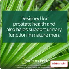 Viên uống Saw Palmetto 450mg Puritan’s Pride 200 viên - Hỗ trợ sức khỏe tuyến tiền liệt và chức năng tiểu tiện tự nhiên