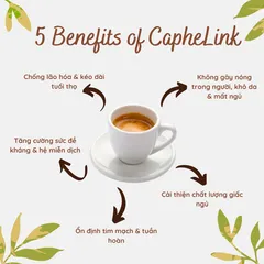 Cà phê Link Decaf Thảo Mộc Rang Xay - Tăng Cường Đề Kháng, Không Bồn Chồn, Hương Vị Nguyên Chất - 20 Gói 320g