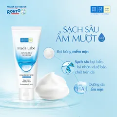 Bộ Đôi Hada Labo Kem Rửa Mặt & Lotion Dưỡng Ẩm Da Thường - Sạch Sâu, Ẩm Mượt, Hỗ Trợ Khôi Phục Da Khô, Thiết Kế Nhật Bản
