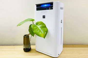 Máy Lọc Không Khí Tạo Ẩm Sharp KC-G50EV-W 38m2 - Công Nghệ Inverter, Hệ Thống Lọc 3 Cấp, Tự Động Thông Minh, Khử Mùi Hiệu Quả