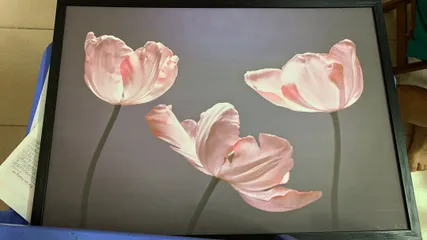 Ảnh đánh giá Tranh Canvas Hoa Tulip Tối Giản - Trang Trí Phòng Khách Sang Trọng, Thiết Kế Độc Đáo Cho Không Gian Sống Tươi Mới