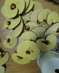 Ảnh đánh giá Nấm linh chi Imsil Nonghuyp sạch - Tăng cường sức khỏe, hỗ trợ bồi bổ & nâng cao đề kháng - Sản phẩm tiêu chuẩn Korea GAP