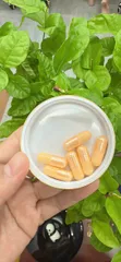 Ảnh đánh giá Viên Uống Yến Sào Trẻ Hóa Da Đa Tầng Nest Beauty - Công Thức Úc, Bổ Sung Collagen, Glutathione, Dưỡng Da Từ Gốc Rễ, 90 Viên/Hộp