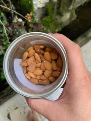 Ảnh đánh giá Hạt Hạnh Nhân Rang Mộc DK Harvest Nguyên Vị - Hạt Dinh Dưỡng Tự Nhiên, Giàu Chất Xơ, Tốt Cho Sức Khỏe, Đóng Gói 250g/500g