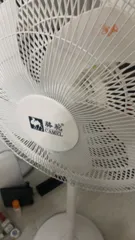 Ảnh đánh giá Quạt Cây Đứng Camel 5 Cánh Siêu Cấp - Quạt Điện 60W 3 Tốc Độ Tiết Kiệm Điện, Đứng Vững Chắc, Thiết Kế Hiện Đại