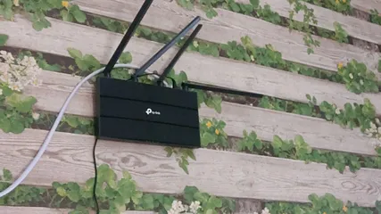 Ảnh đánh giá Bộ Phát Wifi Băng Tần Kép AC1900 TP-Link Archer C80 - Tốc Độ 1900Mbps Cho Chơi Game, Xem Video 4K Mượt Mà