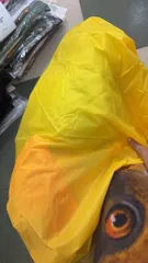 Ảnh đánh giá Túi Trùm Balo Chống Thấm Nước Vina Bag Dã Ngoại - Bảo Vệ Balo Nước, Bụi, Tia UV, Thời Trang Du Lịch