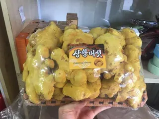 Ảnh đánh giá Khay Nấm Linh Chi Thượng Hoàng Hàn Quốc Tai To - Hỗ Trợ Sức Khỏe, Ngăn Ngừa Khối U, Bồi Bổ Cơ Thể, 500g