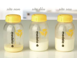 Sữa non giá bao nhiêu 1 hộp, các loại sữa non tốt nhất