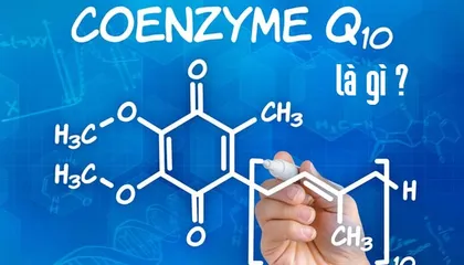 [GIẢI ĐÁP] Tất tần tật về Coenzyme Q10 là gì ? Khả năng chống oxy hóa trong cơ thể là có thật?