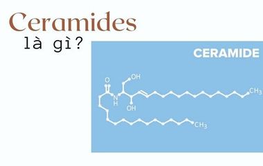 Ceramides là gì trong chăm sóc da? Tác dụng và cách sử dụng Ceramides