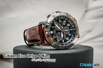 Top 10 mẫu đồng hồ Citizen Eco Drive 6 kim đáng mua nhất 2024