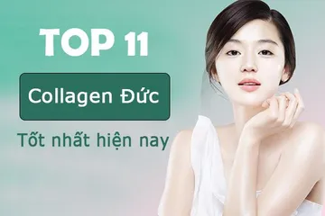 TOP 11 Collagen Đức loại chất lượng tốt hiệu suất cao nhất hiện tại nay