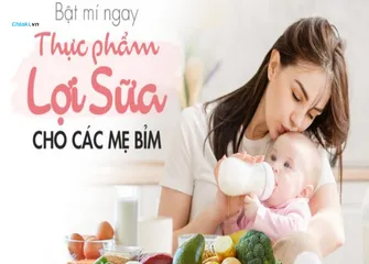 TOP 12 thực phẩm cực lợi sữa cho mẹ sau sinh tăng chất lượng sữa tốt