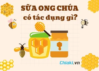 Uống sữa ong chúa có tác dụng gì? 9 tác dụng của sữa ong chúa