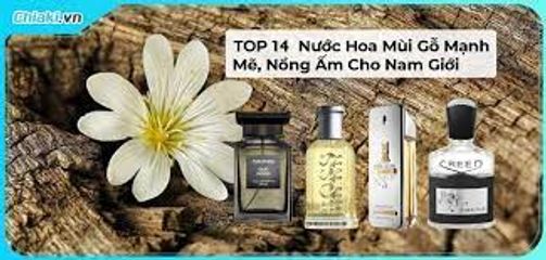 Top 14 nước hoa mùi gỗ mạnh mẽ, nồng ấm cho nam giới