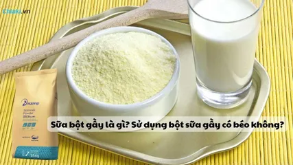 Sữa bột gầy là gì? Sử dụng bột sữa gầy có béo không?