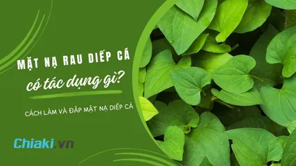 Mặt nạ diếp cá có tác dụng gì? 13 cách làm mặt nạ diếp cá tại nhà hiệu quả