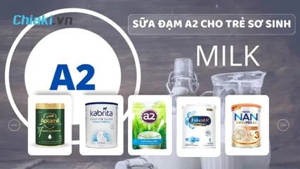 TOP 5 sữa đạm A2 cho trẻ sơ sinh và trẻ nhỏ phát triển khỏe mạnh