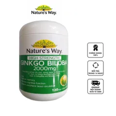 Danh mục Ginkgo Biloba Nature's Way