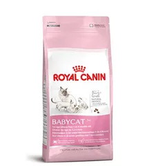 Danh mục Thức Ăn Hạt Cho Mèo Royal Canin