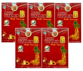 Combo 5 Hộp Viên Multi Vitamin B With Ginseng - Thực Phẩm Chức Năng Tăng Cường Sức Khỏe, Hỗ Trợ Giảm Đau Thần Kinh