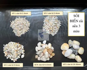 Sỏi Biển Ba Màu Tự Nhiên Trang Trí Thủy Sinh - Chất Lượng Cao, 500g - 1kg cho Bể Cá và Không Gian Sống Tươi Mát