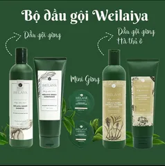 Dầu Gội Weilaiya Mọc Tóc & Giảm Gàu - Bộ 2 Chính Hãng Hàn Quốc (Kèm Bộ Mini Du Lịch) - Dưỡng Tóc Khỏe Mạnh, Giảm Ngứa Da Đầu