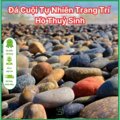Đá Cuội Tự Nhiên Trang Trí Hồ Cá Cảnh & Sân Vườn – Đá Cuội Chất Lượng Cao Dành Cho Người Chơi Thủy Sinh