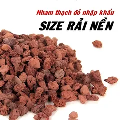 Đá Nham Thạch Cho Bể Cá Cảnh - Vật Liệu Lọc Nước, Xốp Và Bền, Phù Hợp Cho Thủy Sinh, Trải Nền Và Trồng Cây