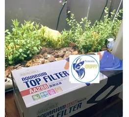 Máy Bơm Lọc Nước Bể Cá Aquachole TOP FILTER AA-288 - Thiết Bị Chuyên Dụng, Lọc Sạch, Cung Cấp Oxy Cho Hồ Cá Dưới 120L