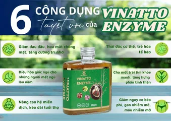 Nước Uống Enzyme Vinatto Hỗ Trợ Tim Mạch - Cải Thiện Tuần Hoàn Máu, Ngăn Ngừa Đột Quỵ, Giảm Cholesterol 500 FU/ml